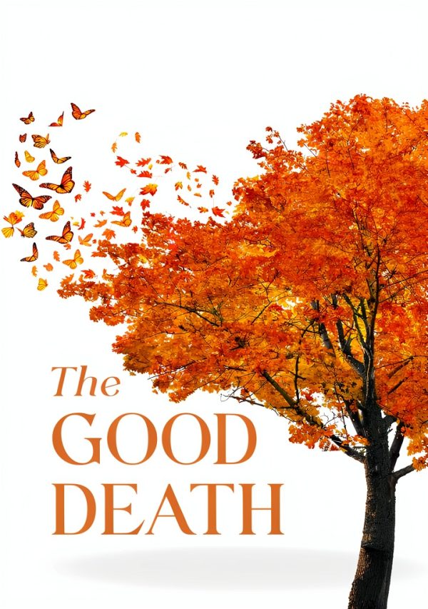 Palliative Care Kindle Book by Little Brown Spark-0